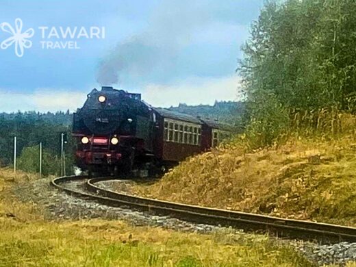 Train à vapeur Basse-Saxe patrimoine historique Tawari Travel
