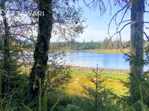 Randonnée forêts lacs Basse-Saxe immersion nature Tawari Travel